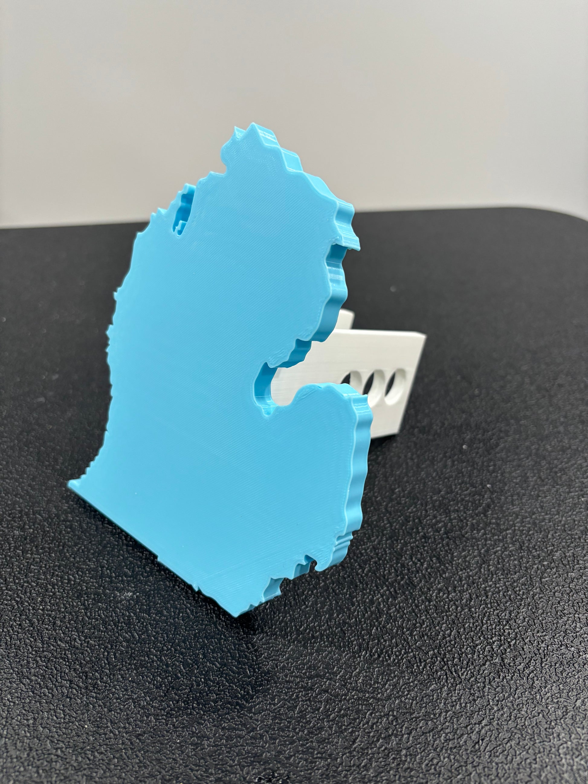 State of Michigan Hitch Cover