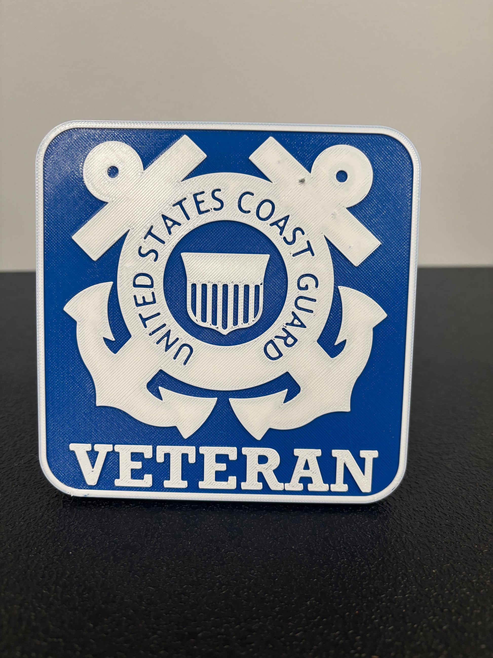 Coast Guard Veteran Hitch Plug