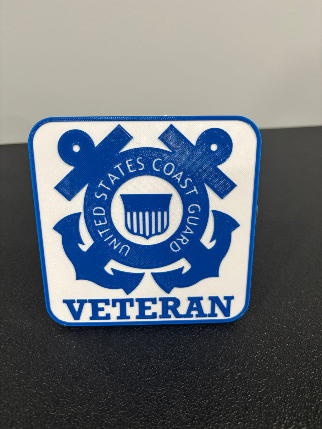 Coast Guard Veteran Hitch Plug