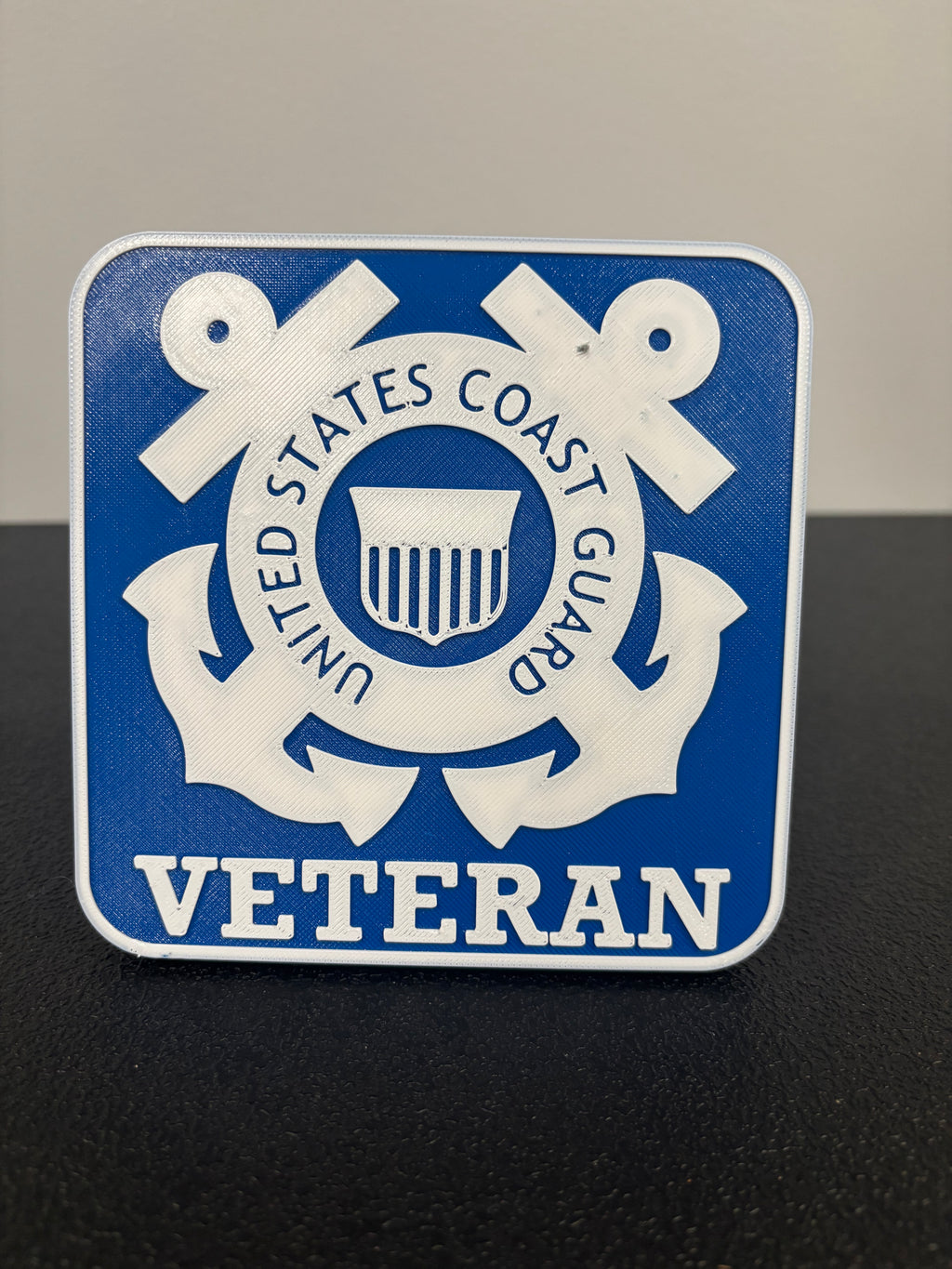 Coast Guard Veteran Hitch Plug